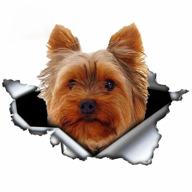 LYKX Yorkshire Terrier Pet Hund Styling Persönlichkeit Aufkleber Zerrissen Metall Vinyl Aufkleber Tier Auto Aufkleber Fenster Auto